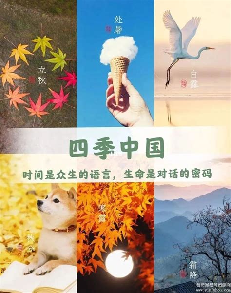 四季代表物|二十四节气：中国人的四季文化